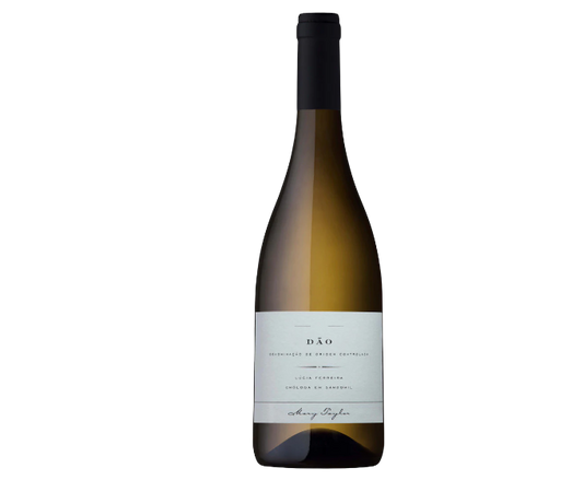 Mary Taylor Lucia Ferreira Dao Tinto 2019 750ml