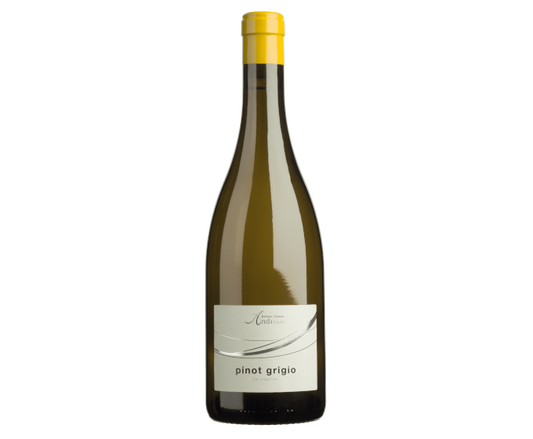 Kellerei Cantina Andrian Pinot Grigio Alto Adige 2020 750ml - White Grapes Italy wine at Primo Liquors Fort Lauderdale